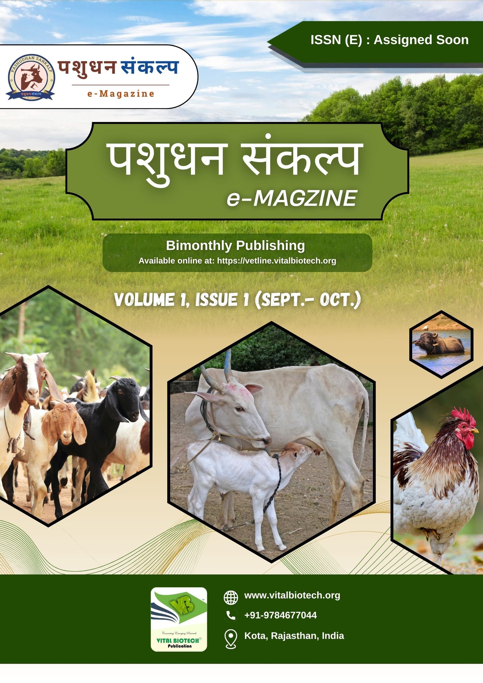 Current Issue Cover